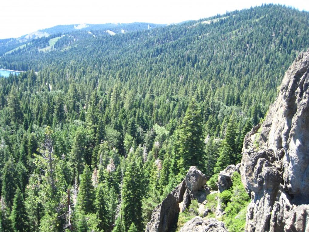 Eagle Rock  Tahoe Conservancy