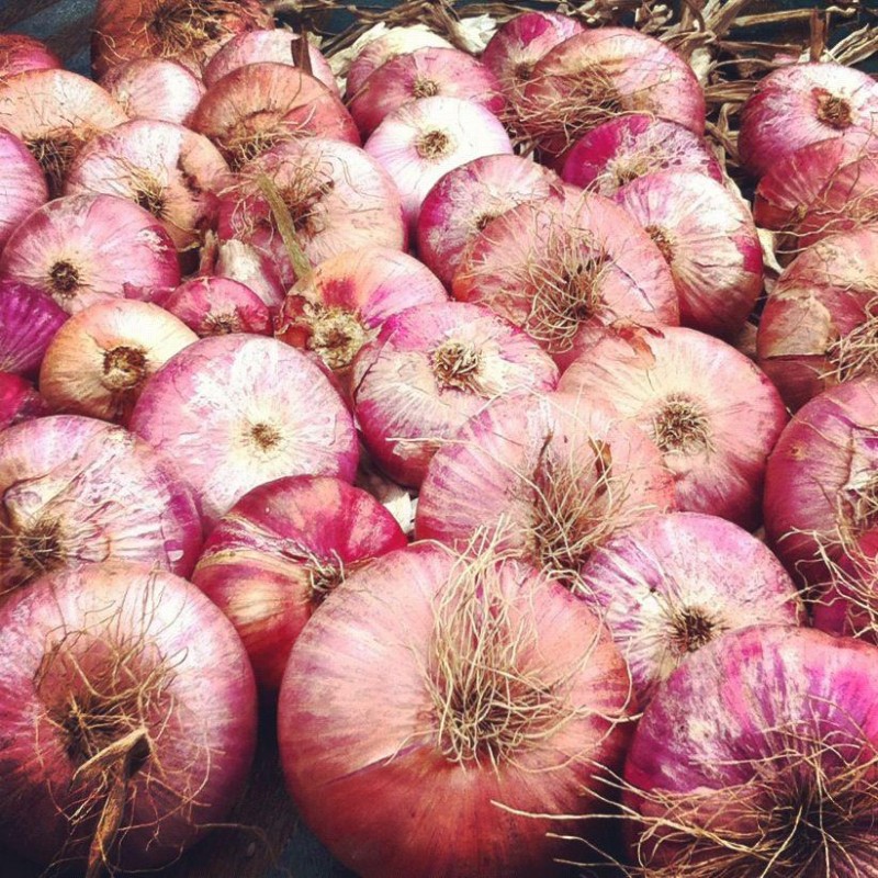 Amador Farmers' Market Sutter Creek Sierra Nevada Geotourism