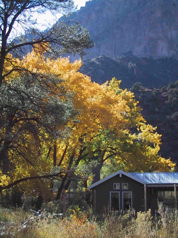 The Dragonfly Cottage at Desert Willow Bed and Breakfast Four Corners