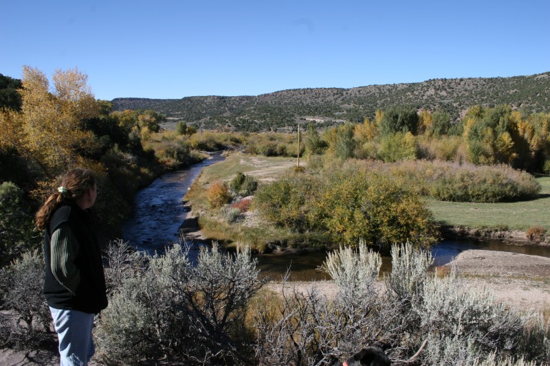 Cottonwood Meadow RanchCabin Rental, Fly Fishing on the Rio Costilla