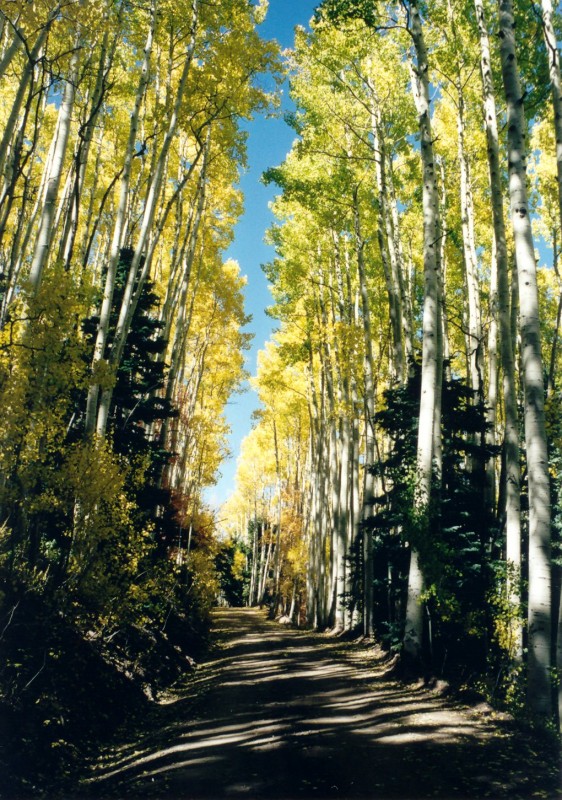 Harts Draw Loop Road Four Corners Region