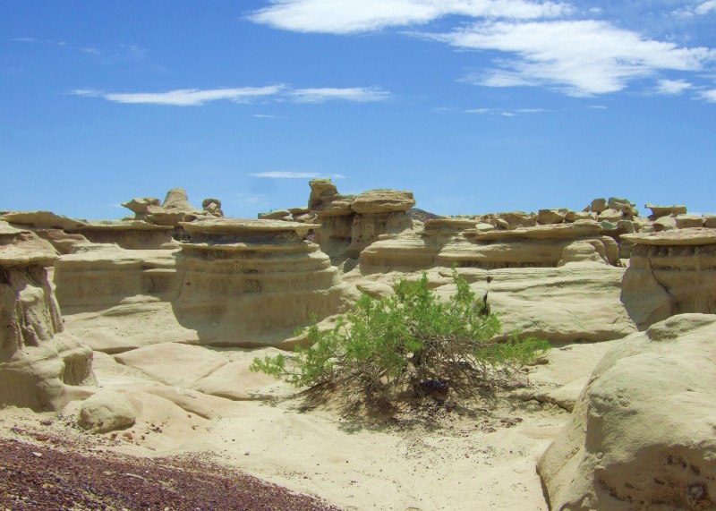 Bisti De Na Zin Wilderness Four Corners Region