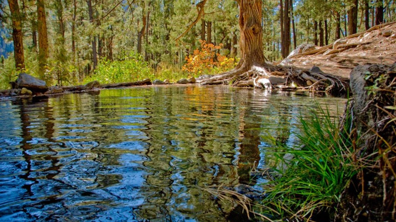 Mccauley Warm Springs Four Corners Region