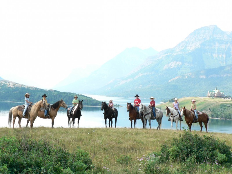 Alpine Stables Waterton, Alberta Official Travel Information