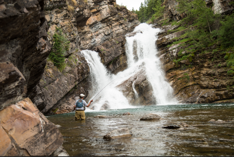 Waterton is open! Waterton, Alberta Official Travel Information