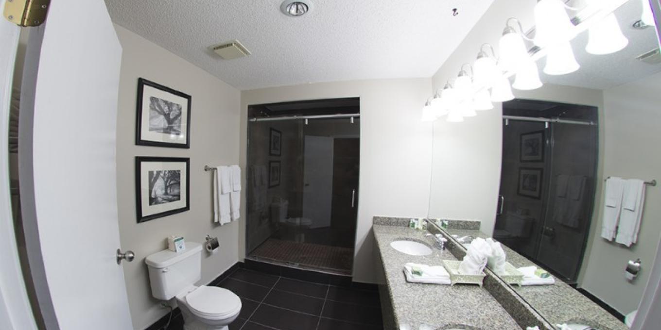 Romantic Suite Bathroom with shower for 2!