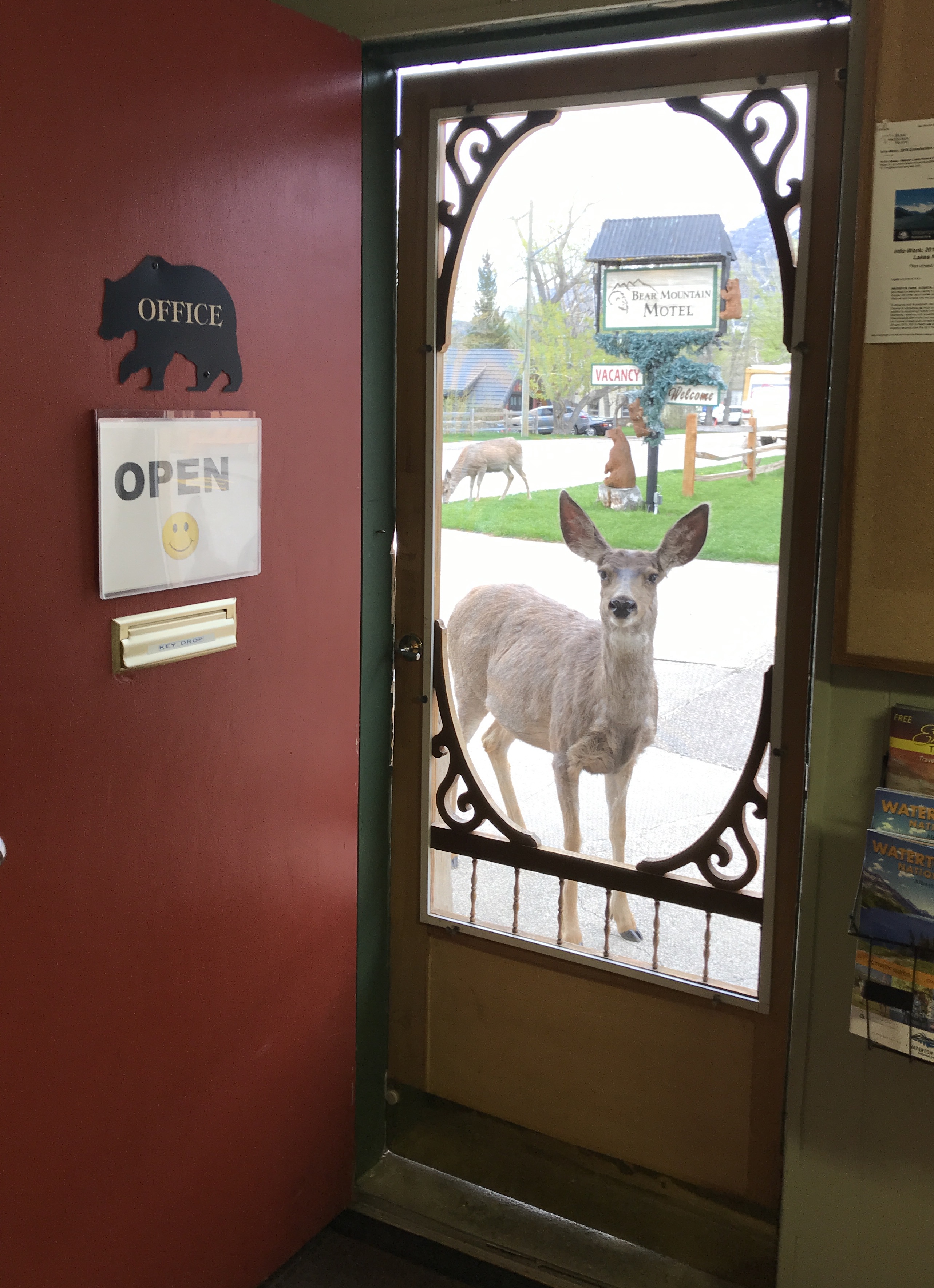 Bear Mountain Motel | Waterton