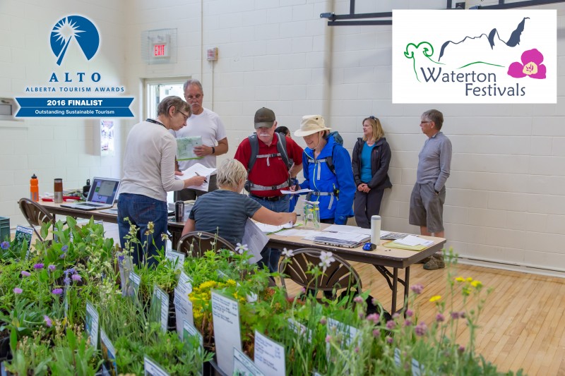 16th Waterton Wildflower Festival Waterton, Alberta Official Travel