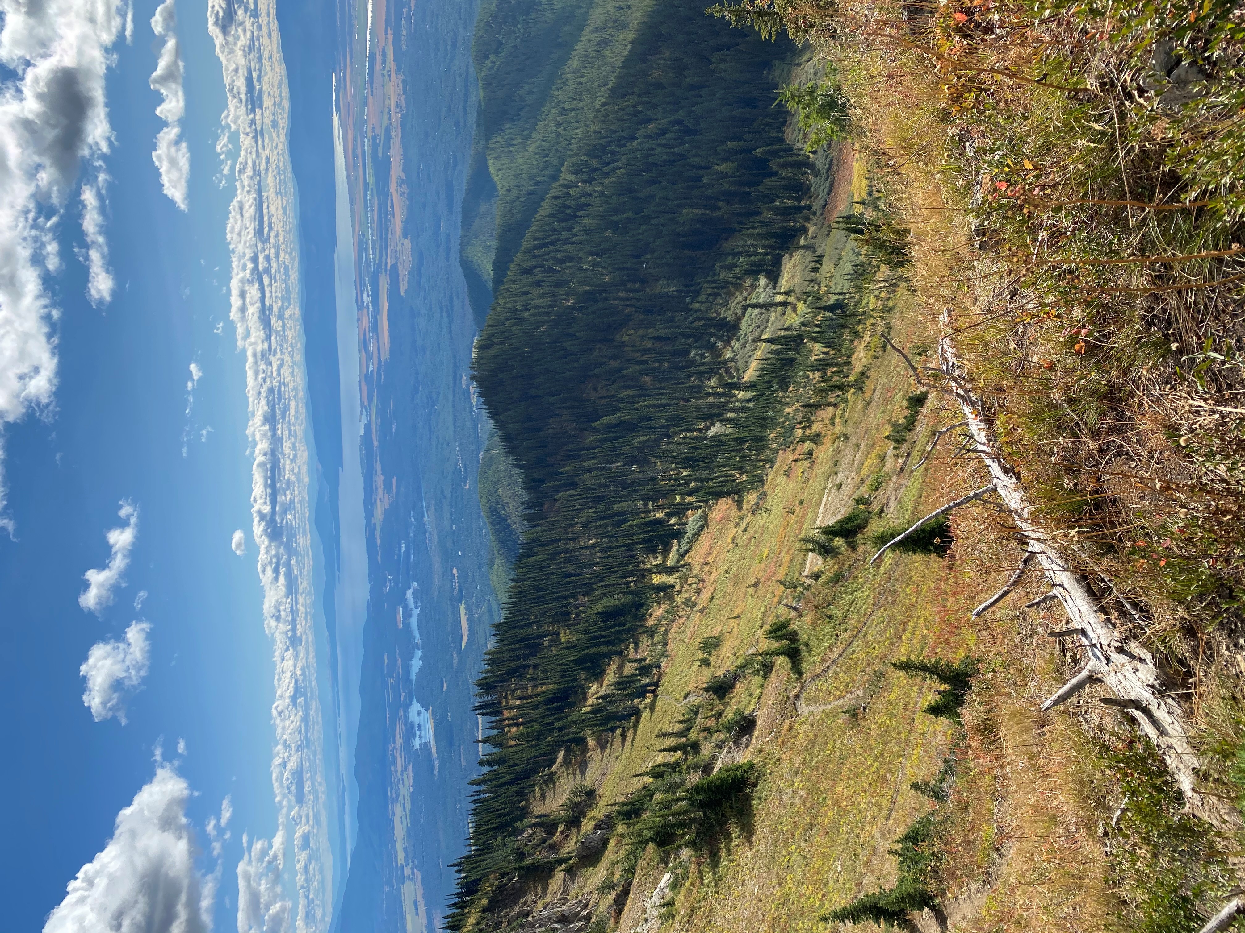Peter Ridge Peter’s Ridge Trail #37 – Wild Montana