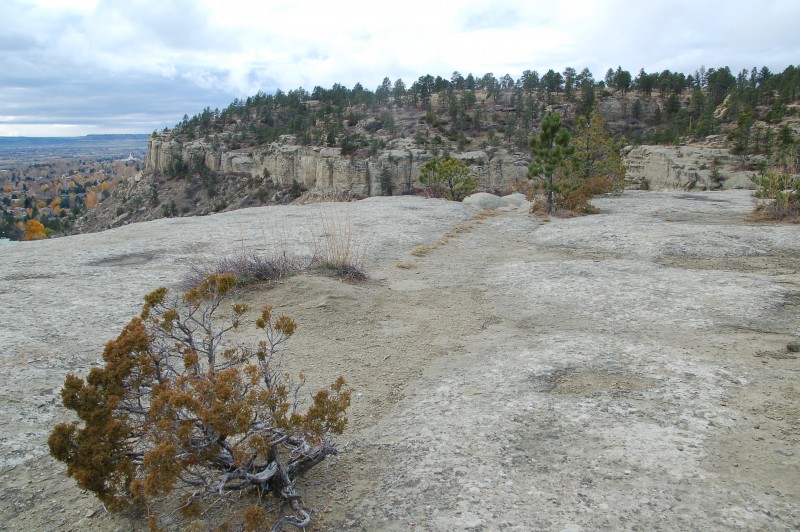 The Rims At Zimmerman Park – Wild Montana