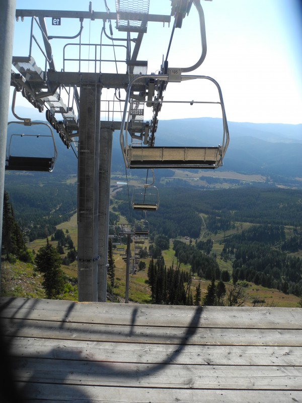 Bridger Bowl, Trail 532 to Hawk Watch Wild Montana