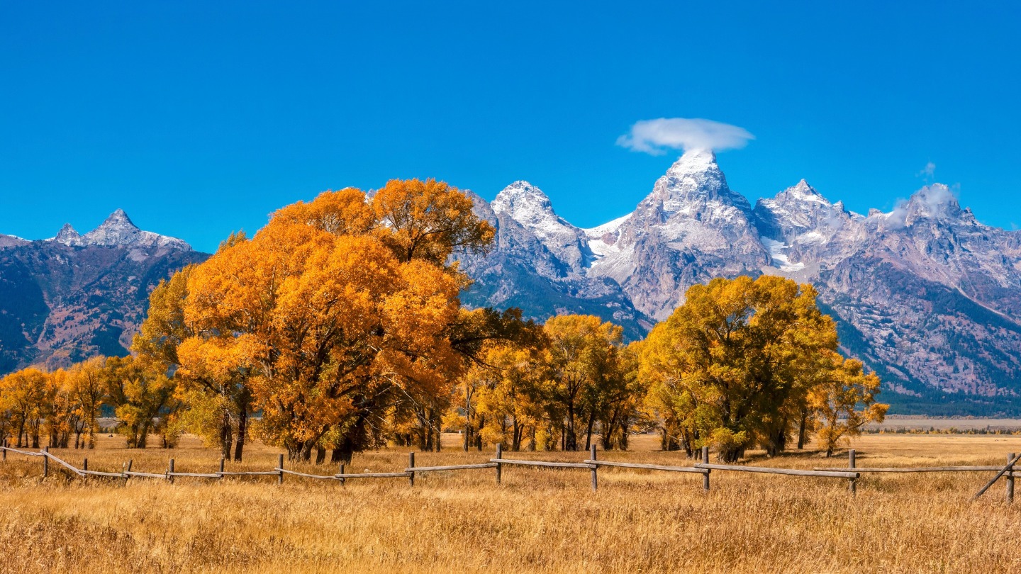 When to Visit Jackson Hole Guide to the Seasons Jackson Hole Tourbase