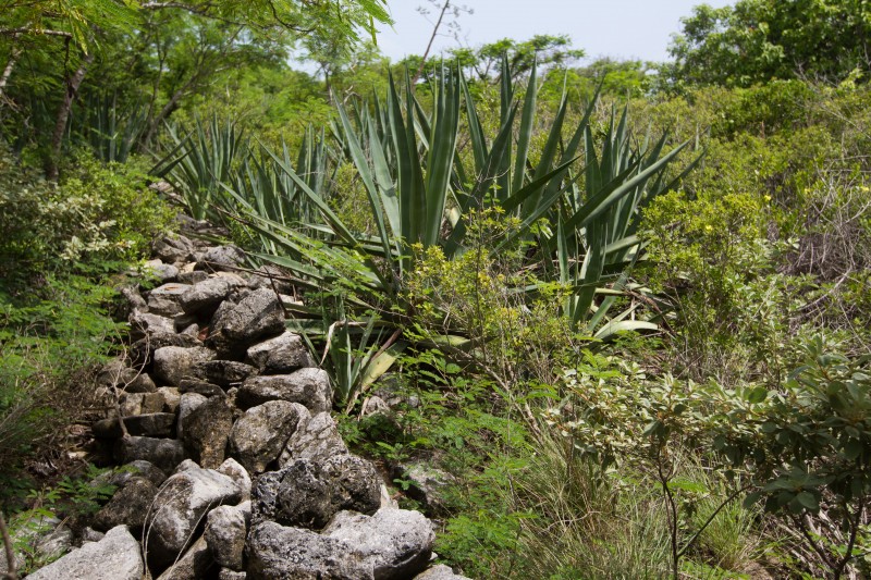 Long Cay The Bahamas