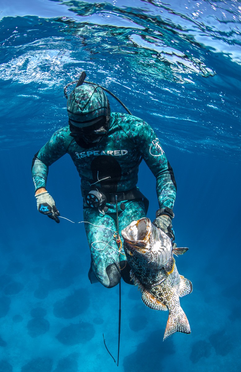 Spearfishing Guide The Bahamas
