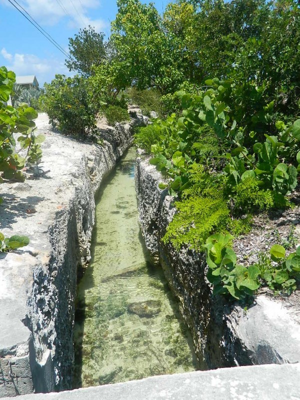 Salt Ponds & Canal The Bahamas