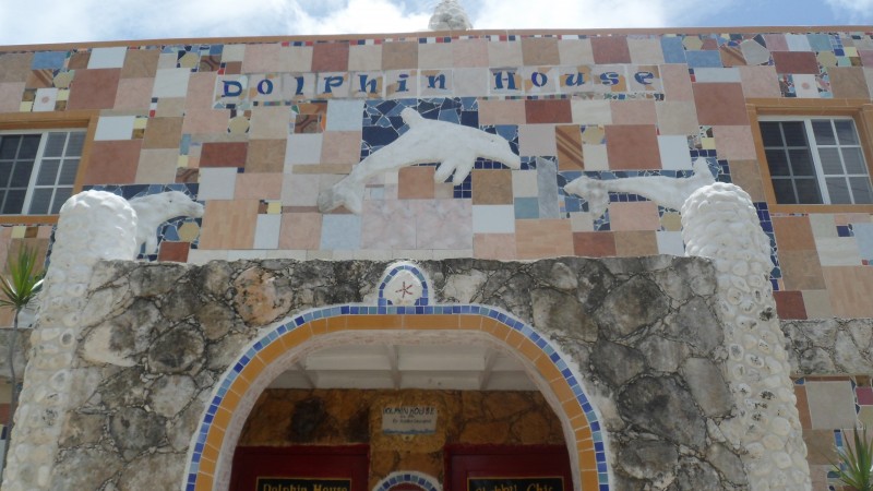 Dolphin House The Bahamas