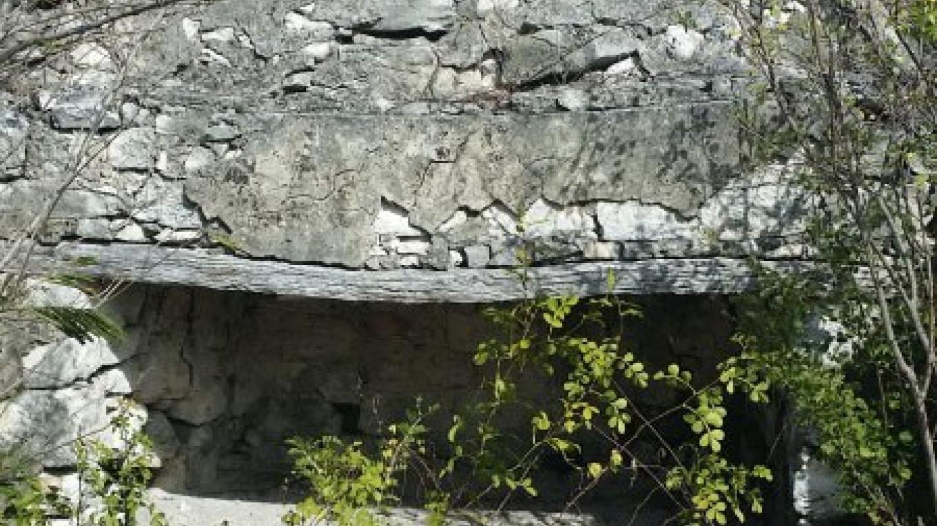 Fortune Hill Plantation | The Bahamas