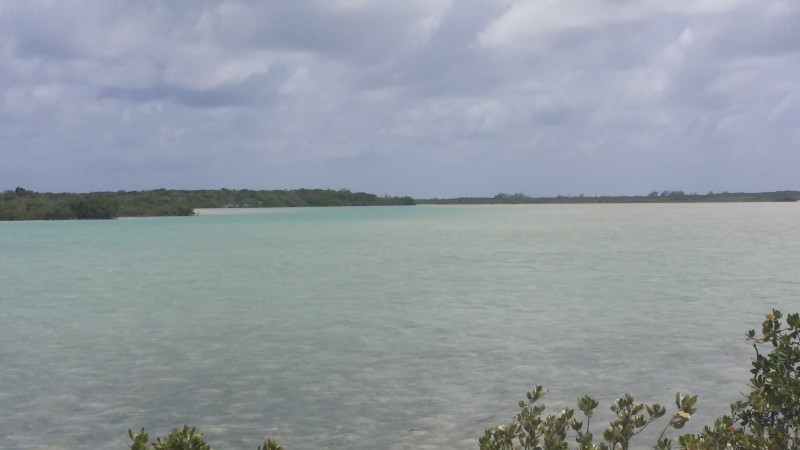 Pigeon Creek & Snow Bay National Park The Bahamas