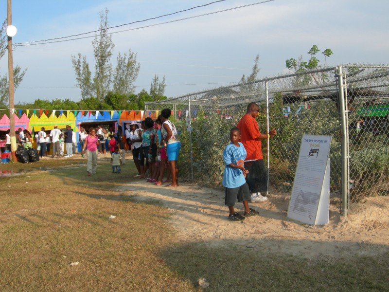 All Andros Crab Fest The Bahamas