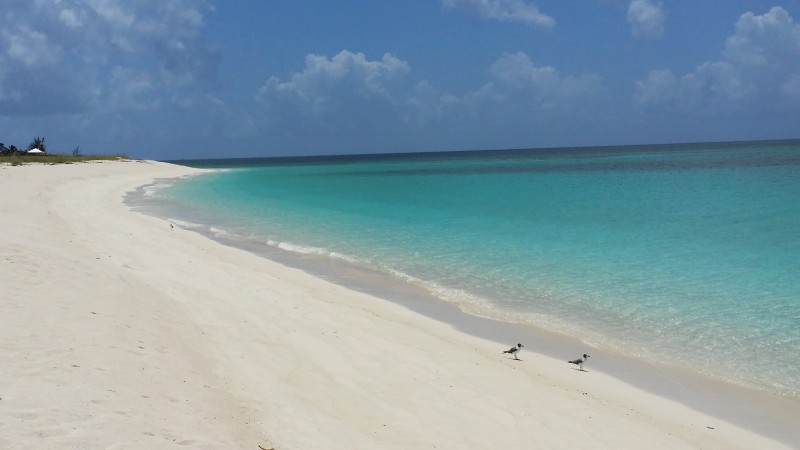 Snow Bay The Bahamas