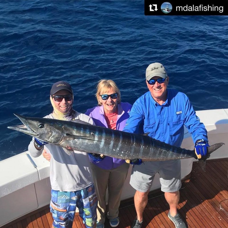 Chub Cay The Bahamas