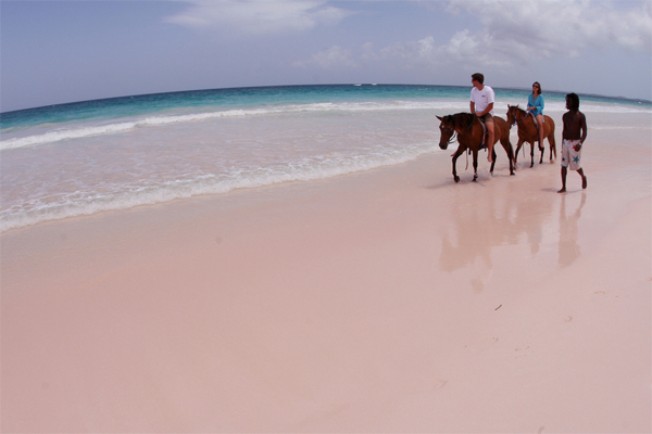 Harbour Island's Pink Sand Beach | The Bahamas