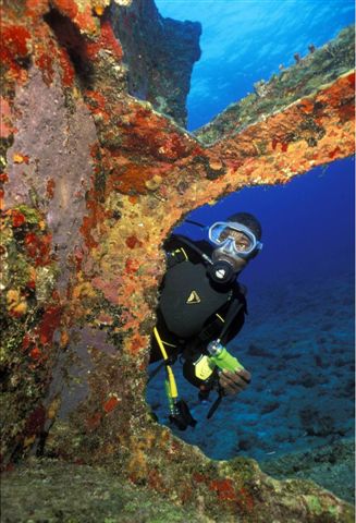 Brendal's Dive Center The Bahamas