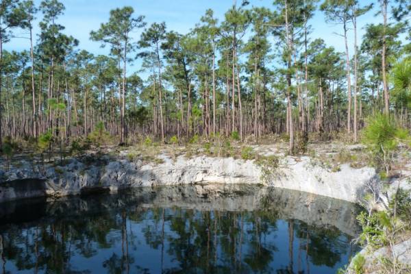 Sawmill Sink | The Bahamas
