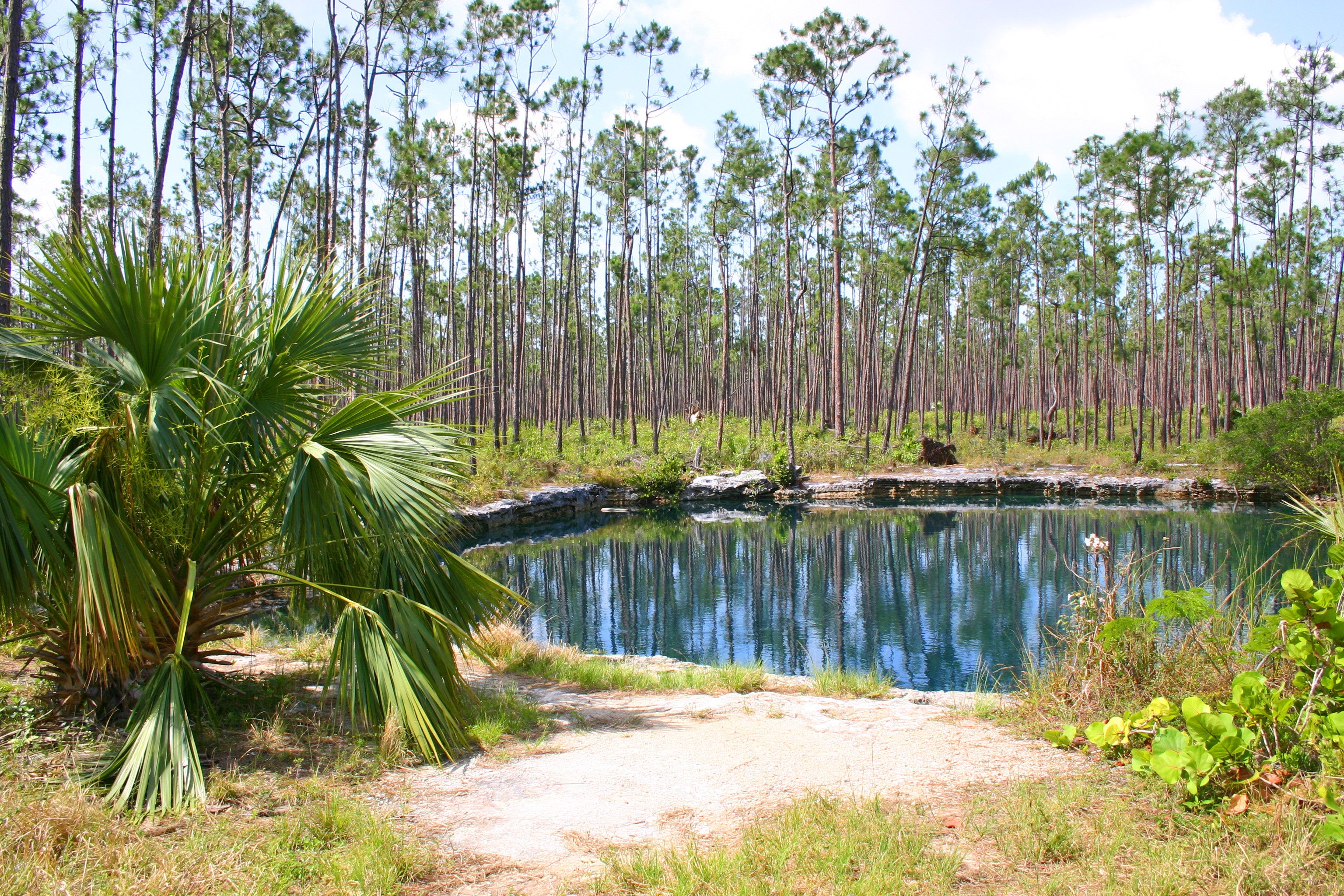 Treasure Cay Blue Hole | The Bahamas