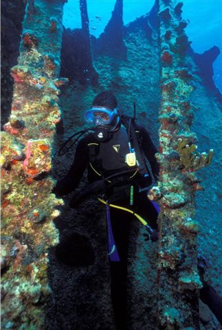Brendal's Dive Center The Bahamas