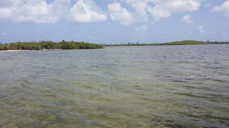 The Great Lake Preserve | The Bahamas