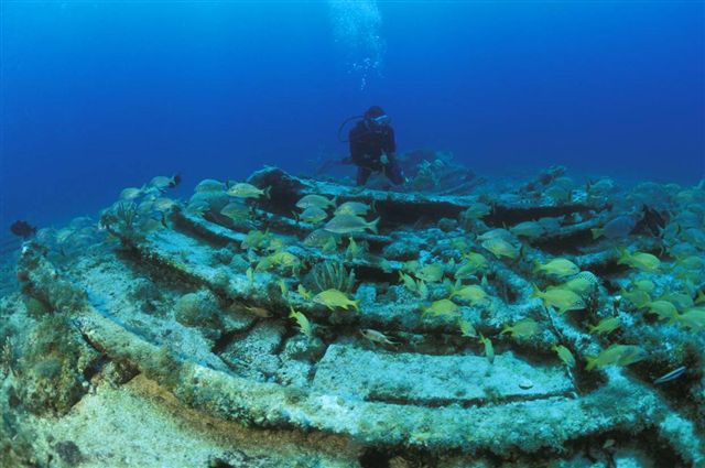 Brendal's Dive Center The Bahamas