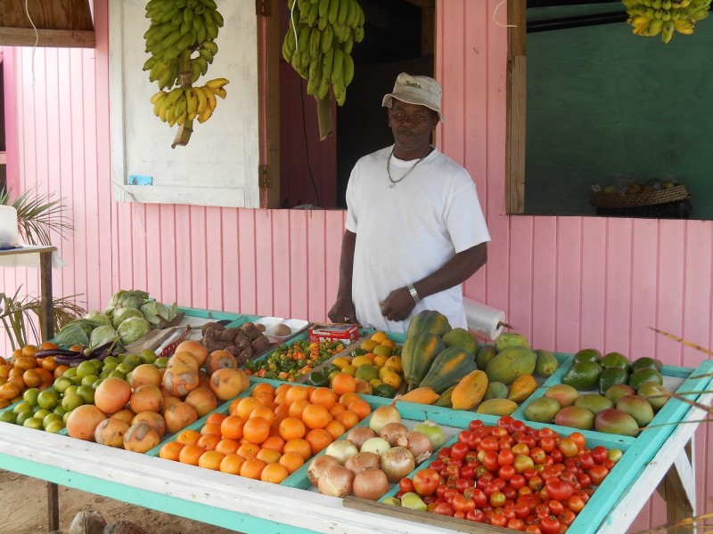 Hearty Mow Farm The Bahamas