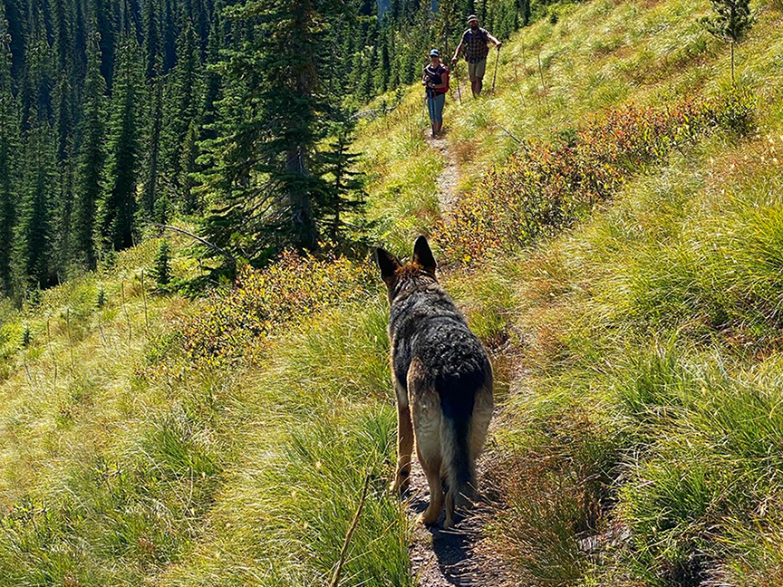 Whitefish Trail, Aspen