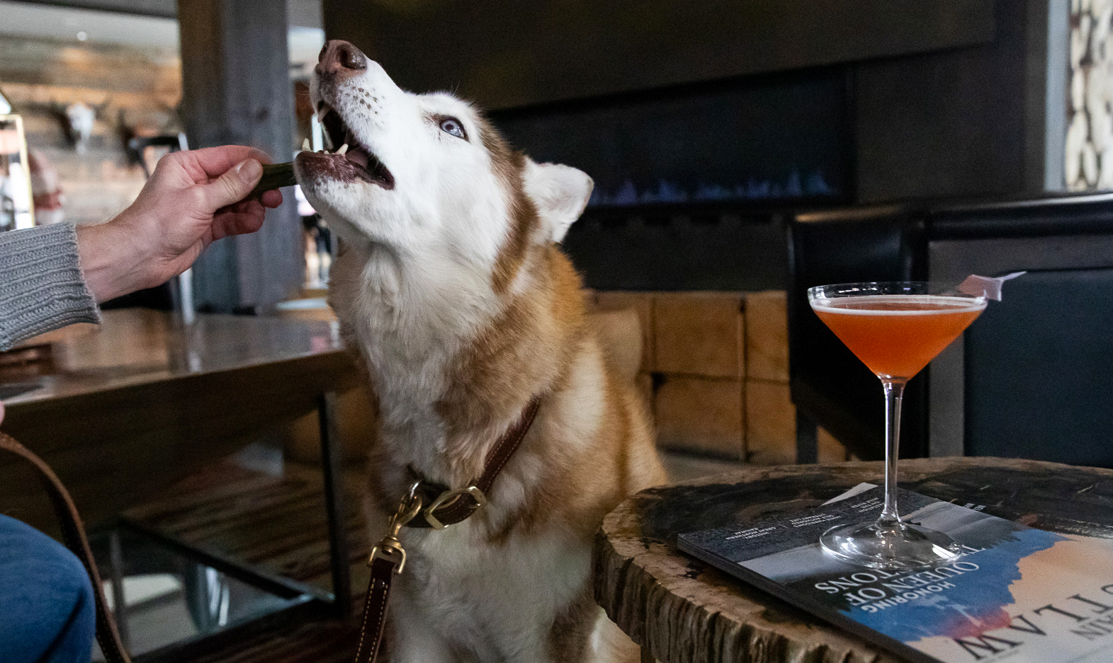 Firebrand Yappy Hour, Hope Kaufmann