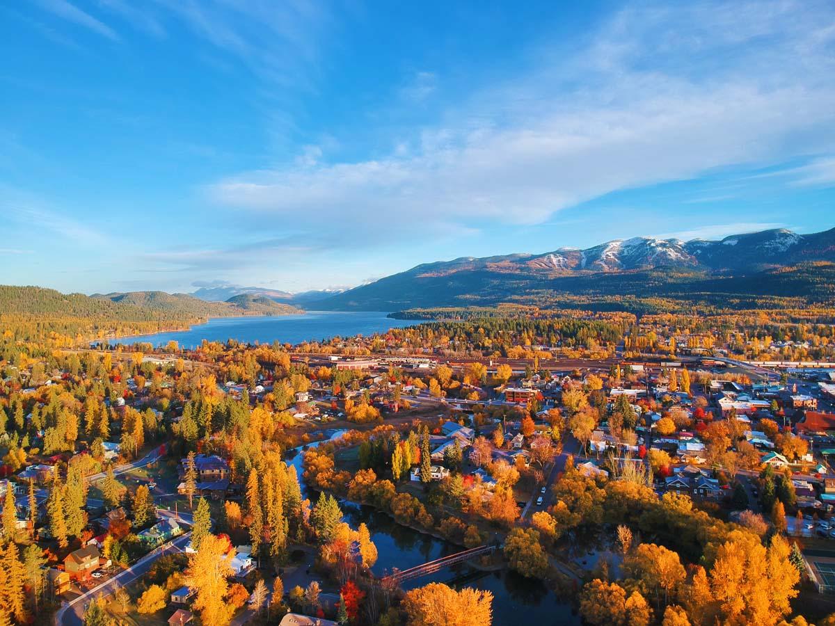 Whitefish from above. Photo: Brian Schott