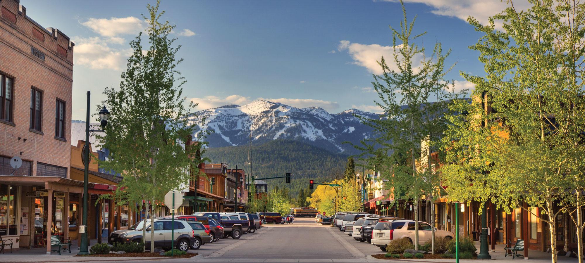 Whitefish