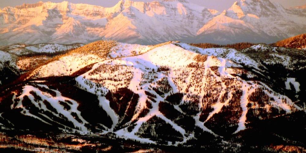 Brian Schott Brian Schott