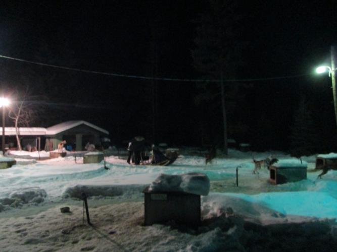 Getting ready to head out of the dog yard for a full moon dog sled tour! – Sara Parr