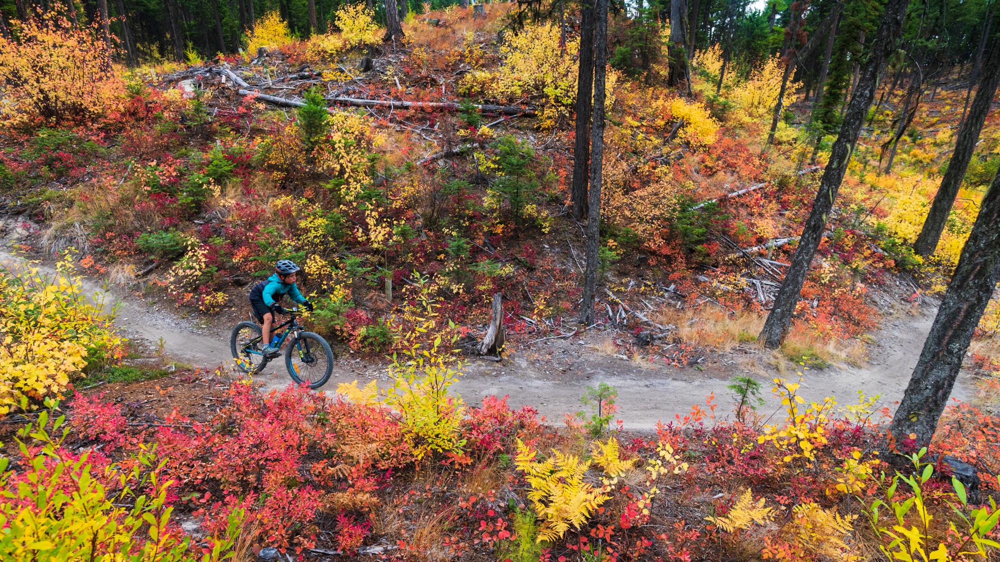 Fall colors on the Whitefish Trail // Photo: Marc O'Brien