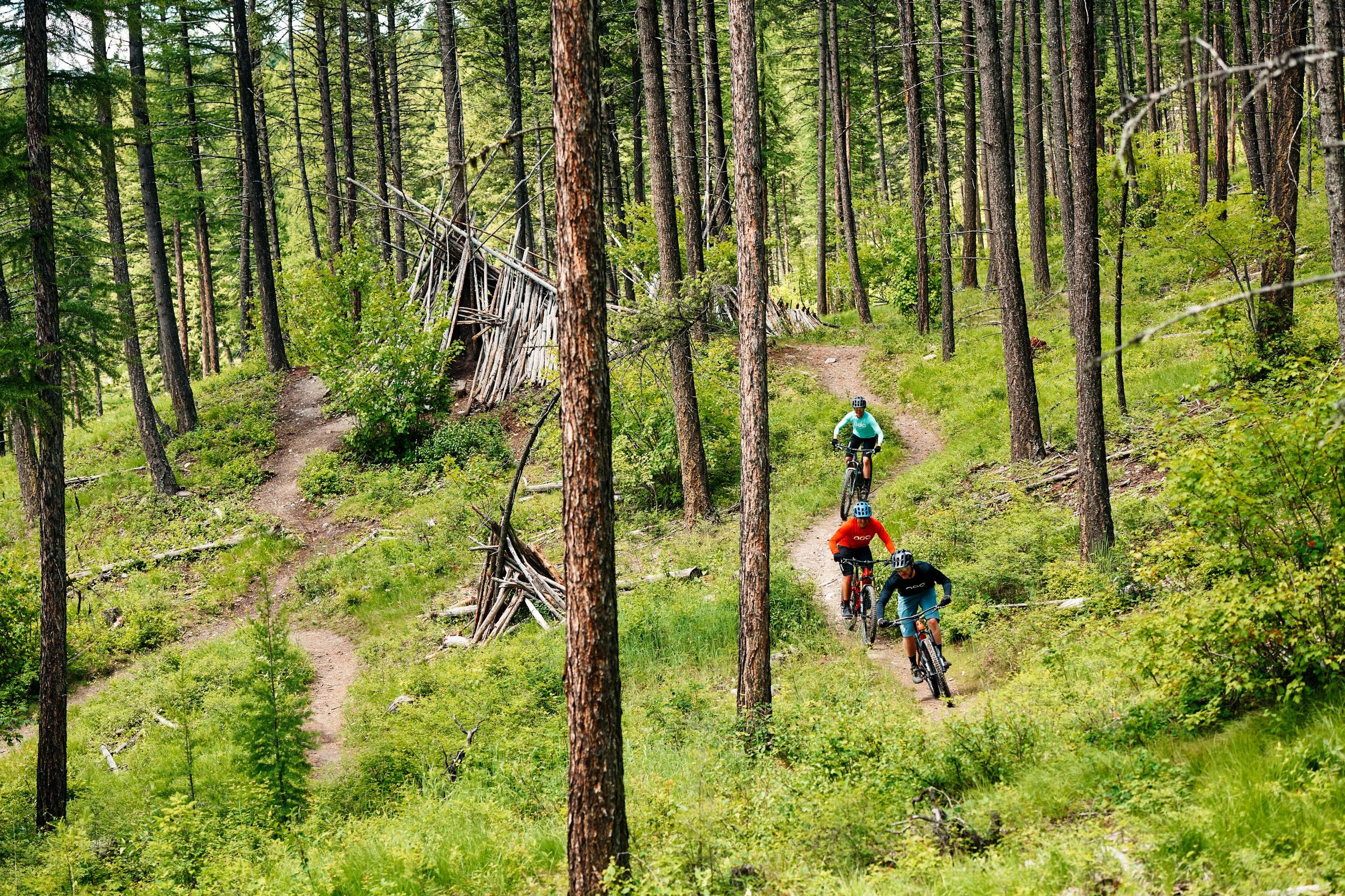 whitefish mountain resort mountain biking