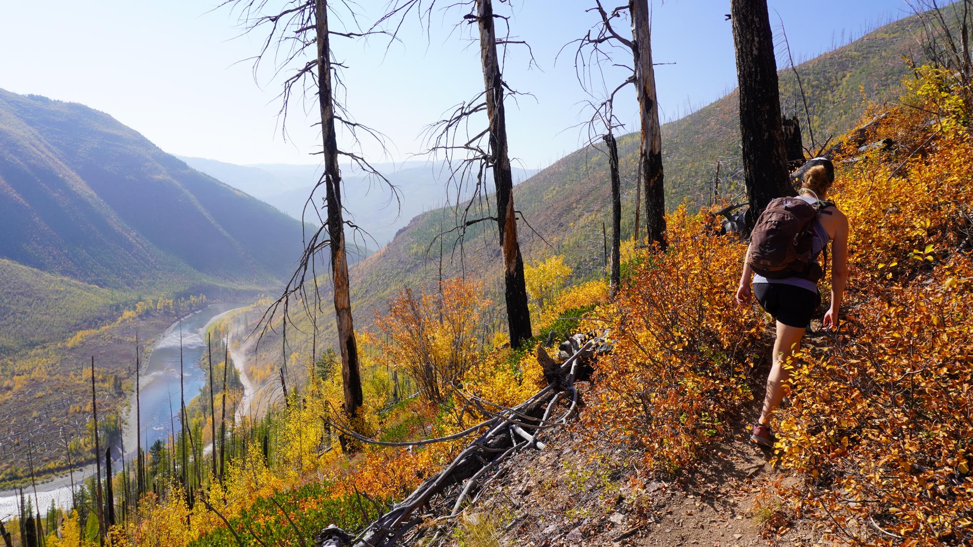 Fall colors peak from late September through mid-October // Demers Ridge Trail heading up Glacier View Mountain.