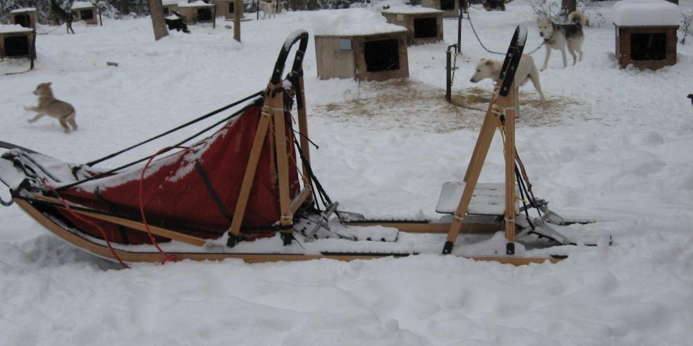 Here is the handmade sled Butch built especially for our tours.  An experienced musher stands directly behind the red sled bag.  The client will STAND BEHIND the experienced musher. – Sara Parr