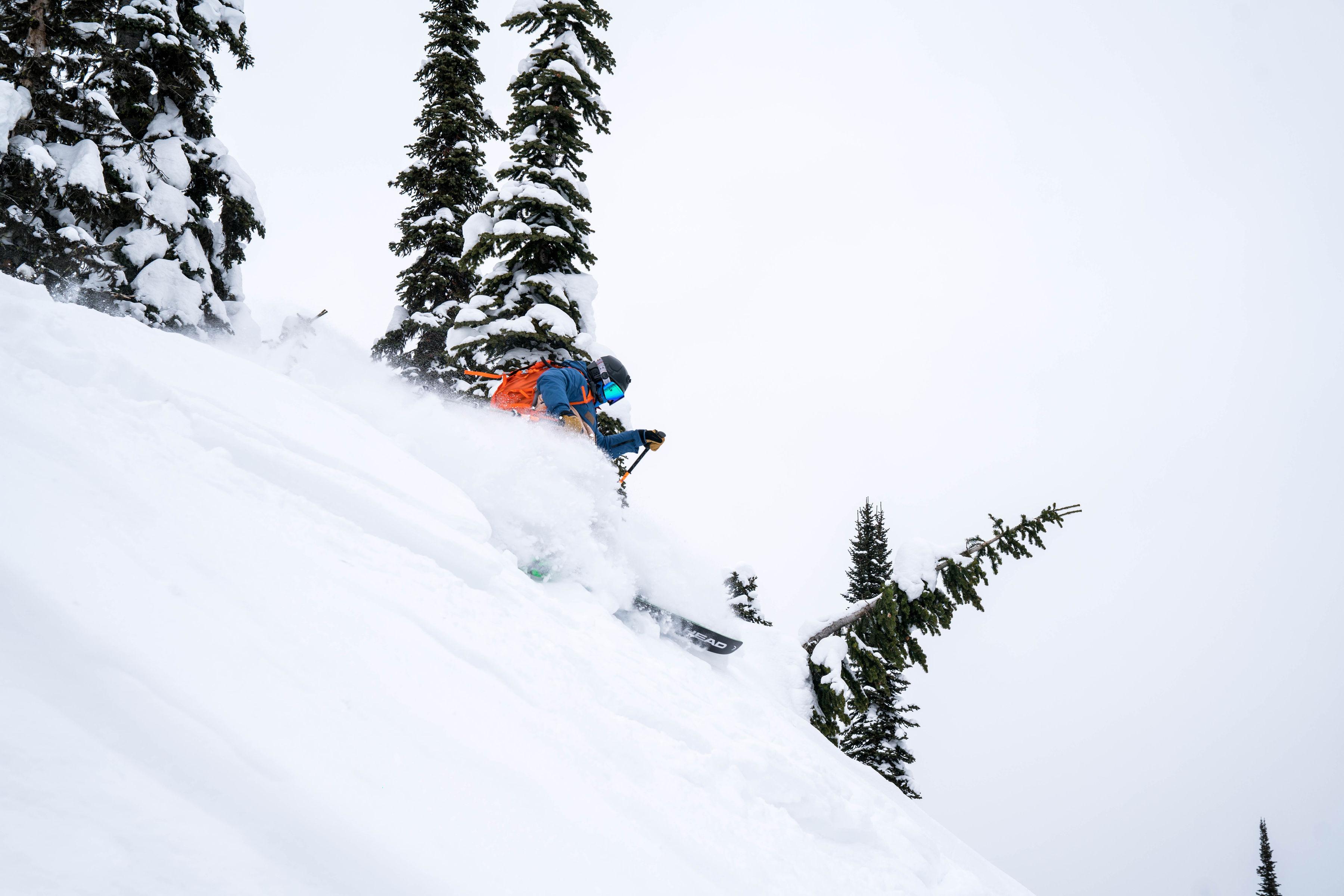 Half-day and full-day backcountry skiing available