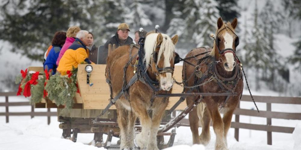 Sleigh Ride at The Bar W Guest Ranch.