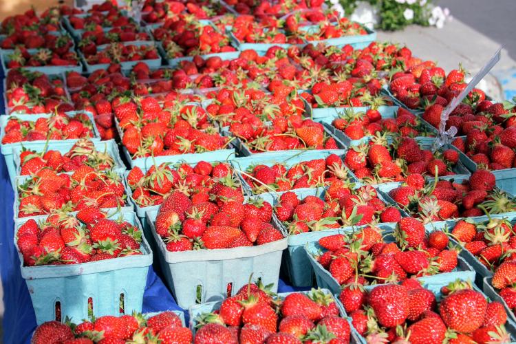 Whitefish Downtown Farmers Market Whitefish Montana Lodging, Dining