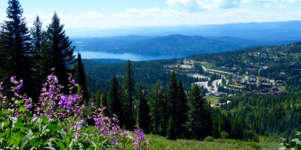 With easy access to hiking, the lake, and of course wonderful downtown Whitefish, you'll love staying at Snow Bear in the summer