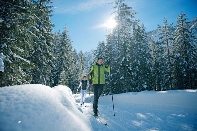 Fat Bike & XC Ski Rentals Whitefish Montana Lodging, Dining, and Official Visitor Information