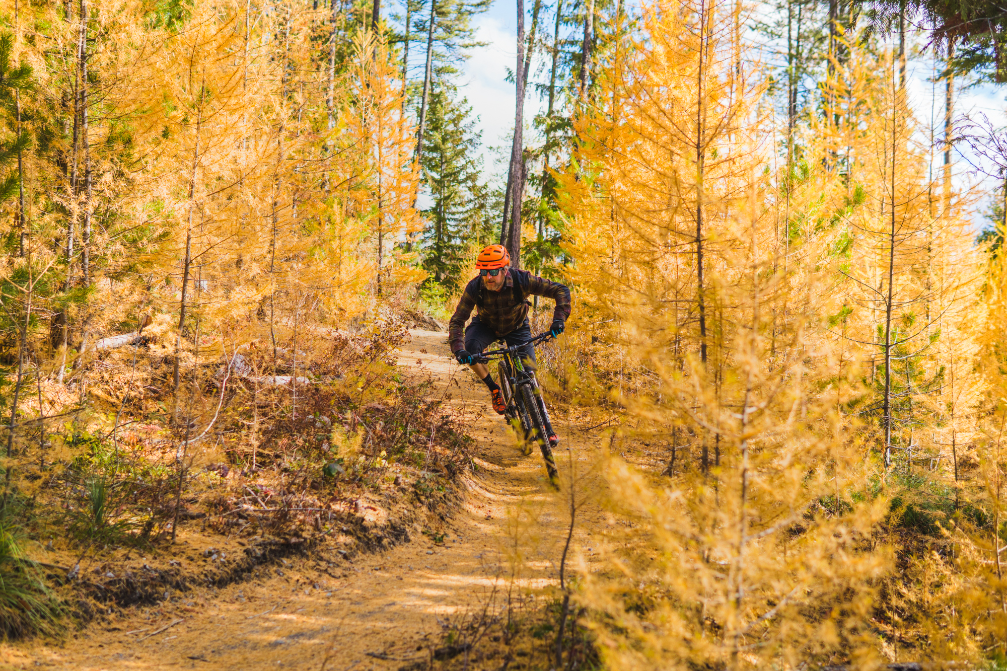 Whitefish mountain discount resort mountain biking