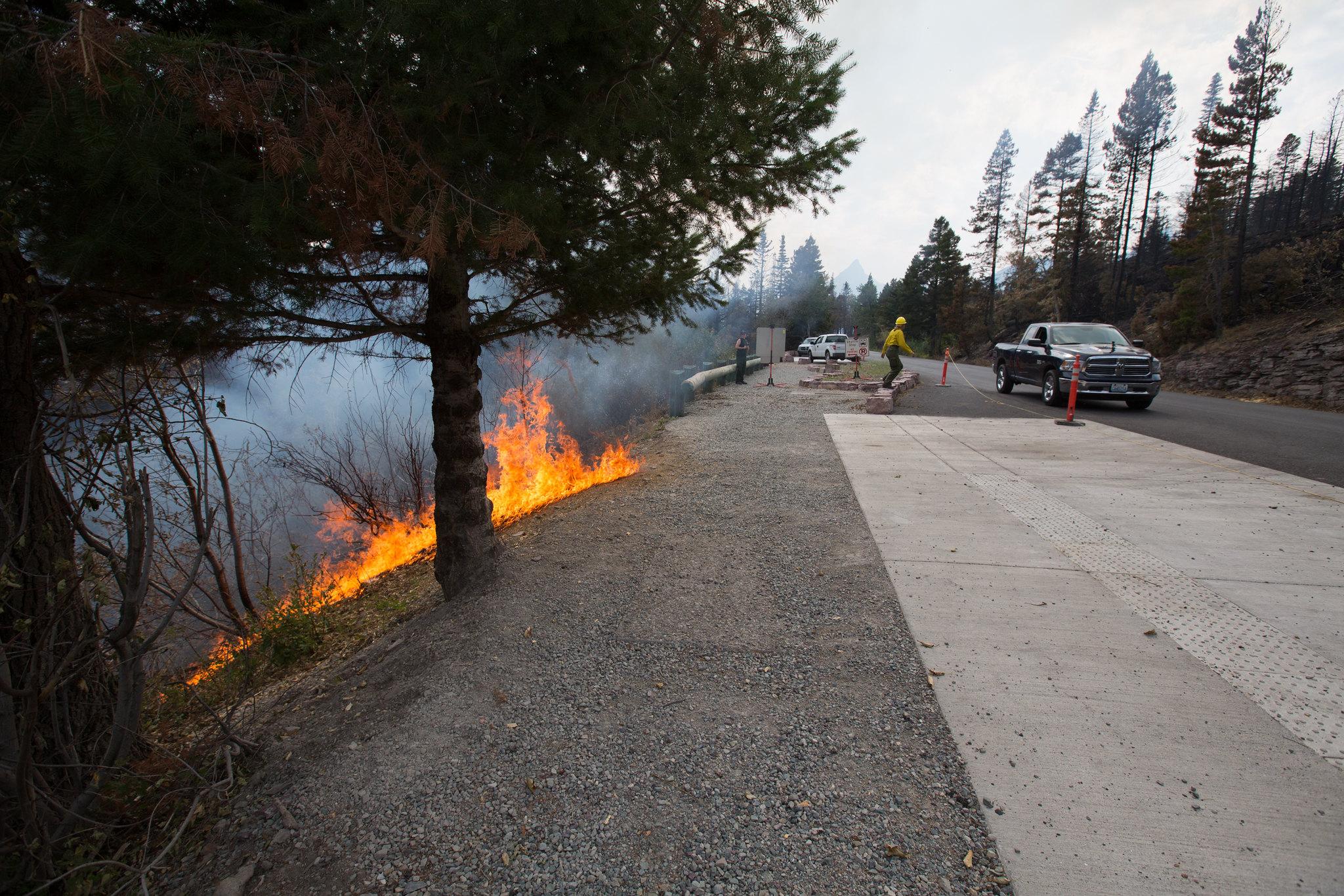 The 2015 Reynolds Creek Fire in Glacier National Park was believed to be human caused. // Photo: Glacier NPS